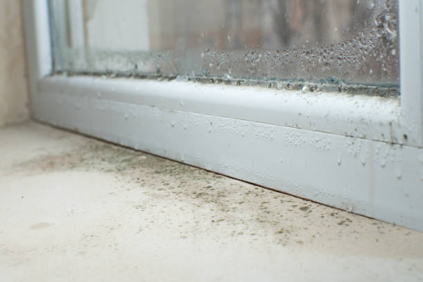 Best Mold Removal for HVAC Installations  in Lawrenceburg, TN